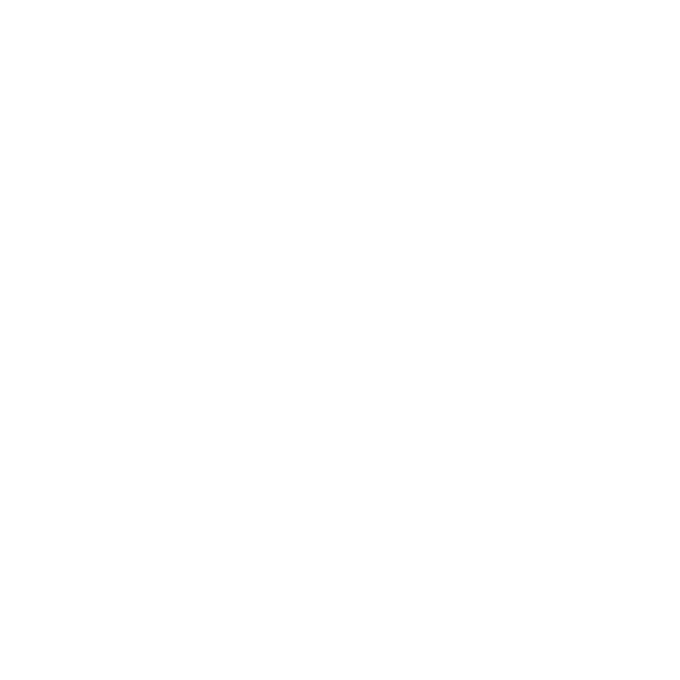 Our Values